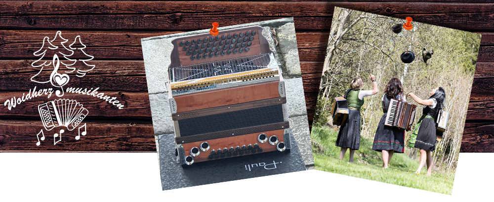 Osterangebot Instrumentenbau Pauli